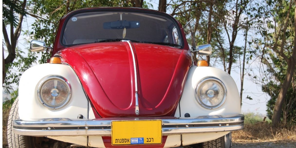 חיפושית אספנות להשכרה